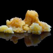 All-About-Cannabis-Concentrates-Sugar-scaled All-About-Cannabis-Concentrates-Sugar-scaled